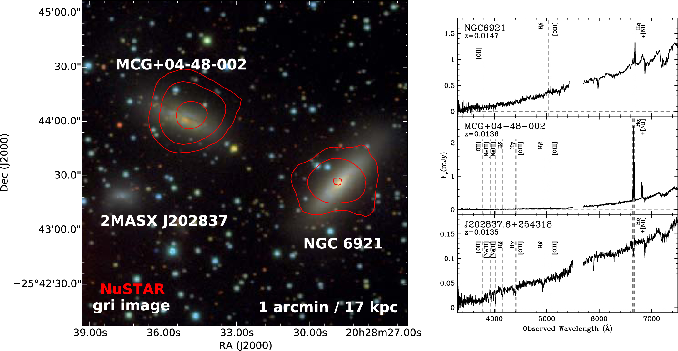 NuSTAR Resolves the First Dual AGN above 10 keV